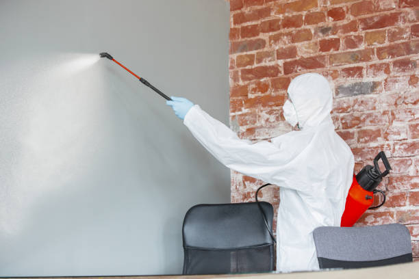 Best Environmental Consulting for Mold Prevention  in Wartburg, TN