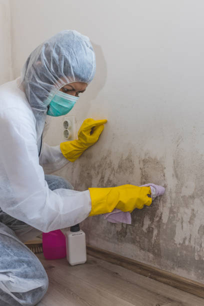 Best Dehumidification Services  in Wartburg, TN