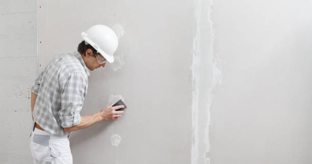 Best Mold Odor Removal Services  in Wartburg, TN