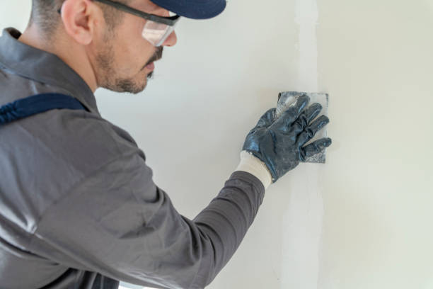 Best Mold Remediation for Vacation Homes  in Wartburg, TN