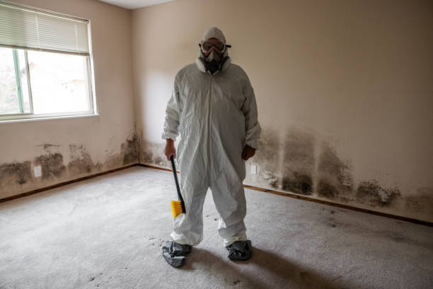 Best Mold Remediation for Healthcare Facilities  in Wartburg, TN
