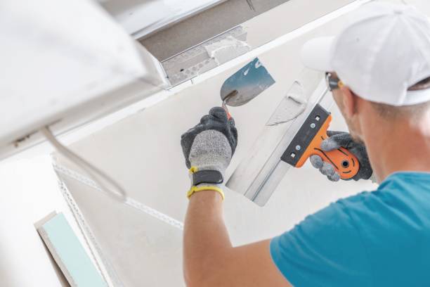 Best Mold Documentation for Insurance Claims  in Wartburg, TN